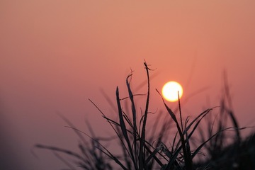 D8DB700F-280A-45B8-B4E0-4B3B574F4651/L0/001