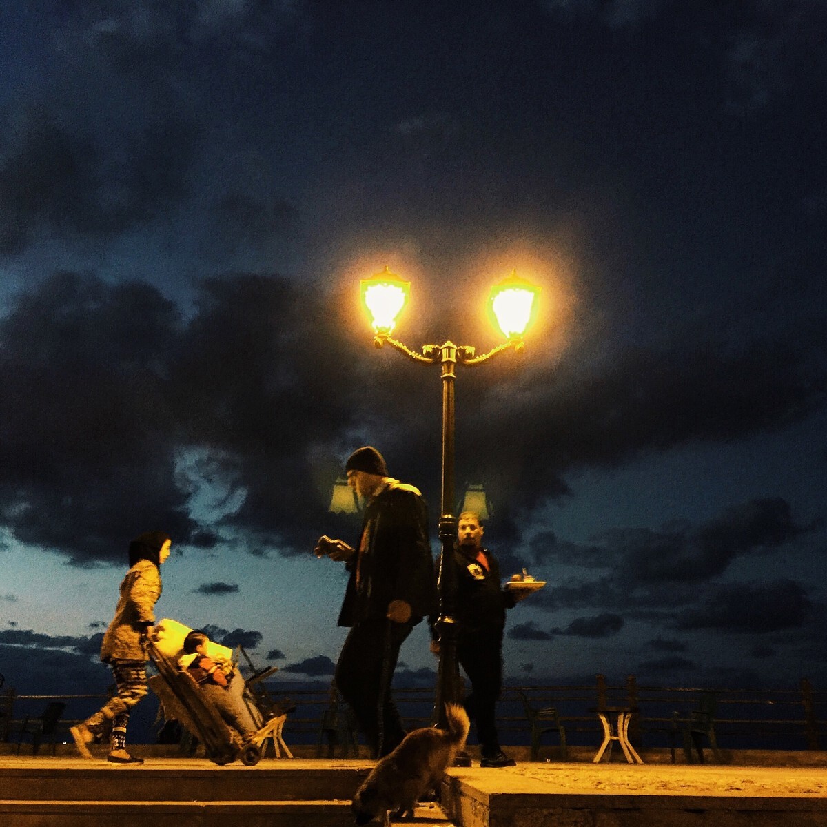 2015, Alexandria, Egypt.