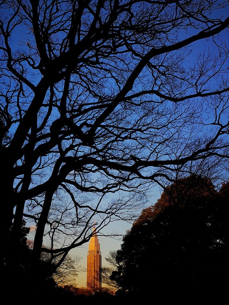 高楼被夕阳燃得发红。