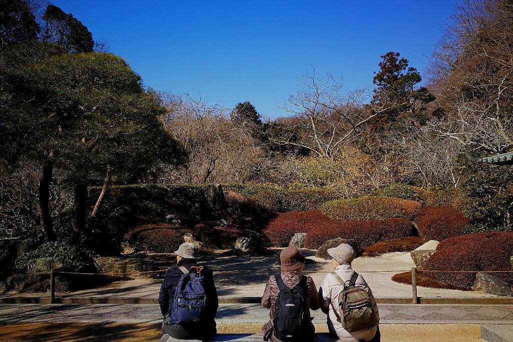 在神奈川县镰仓市，几名年长的游客在观看明月<br />
院内的枯山水。