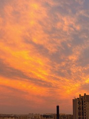 02905D32-F004-4C42-B4F5-4761CAA4BFBF/L0/001