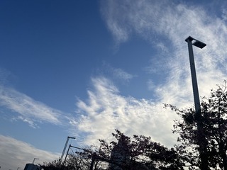 DFC8B2CF-A312-4FE4-997D-E3FC9D280337/L0/001