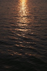 E4A226B8-86D2-4644-8E67-178F18E05628/L0/001