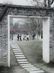 1F6CC625-7A53-483E-A6DD-4AE76AF01F09/L0/001