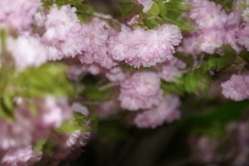 3AB865B4-31A0-4732-A2EF-7B9245ADC333/L0/001