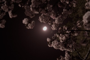 74D65489-1679-4579-B30F-61D6FEC72DB7/L0/001