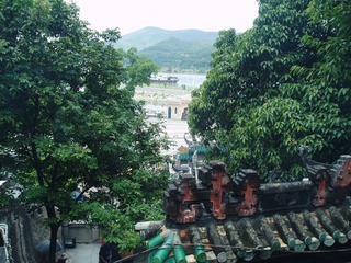 P1010110.JPG