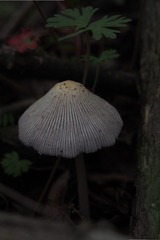 1008624