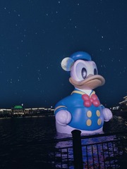 21035