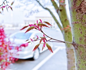C8C6000F-BE80-470D-A543-2758C5CFB1EB/L0/001