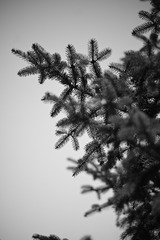 8C379A80-687B-45B6-98DE-2FA3DDDDD3C4/L0/001