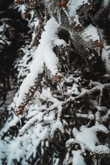 033A9A75-6B48-4085-B504-A43598837CA0/L0/001