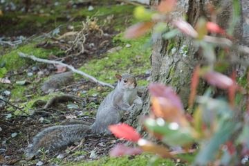 DSC00932.jpg