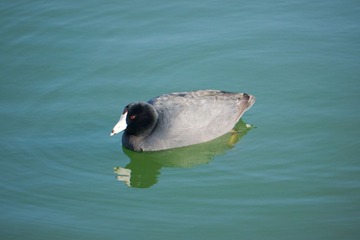 DSC01001.jpg