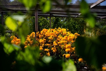 DSC02425.jpg