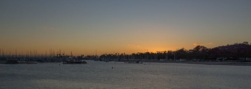DSC02557.jpg