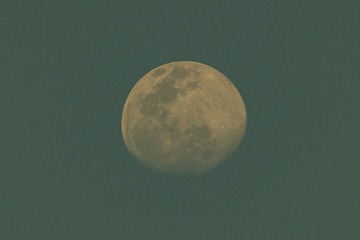 86A7263A-EC31-4E65-AE53-4803C74F9328/L0/001
