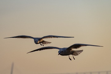 7673CF29-ED18-4776-872B-F4B8791D69C1/L0/001