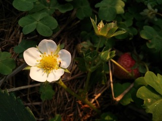 92