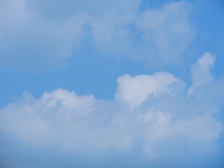 FD68CA84-65E0-45F8-BCE3-CC5056EF9098/L0/001