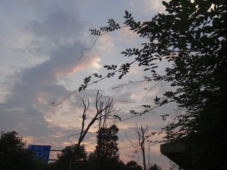 68F41CD3-F6D5-4DF1-AB7D-F924D4672D25/L0/001