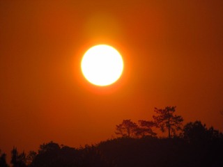 IMG_5448.JPG
