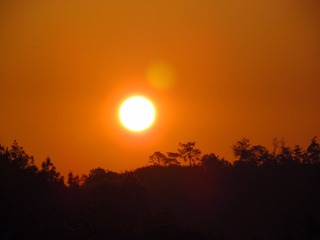 IMG_5446.JPG