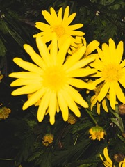 AB319DA6-B462-4778-9942-E40E1EE9D36D/L0/001