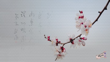 花2
