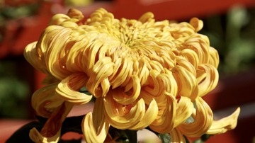 6A027815-B3D6-44BD-99AE-A680811E9631/L0/001