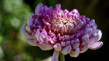 E1DD69EF-87F1-40F0-978E-8910127725FD/L0/001