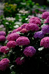 9373B920-B321-4A44-AE3B-4DE76C25127F/L0/001