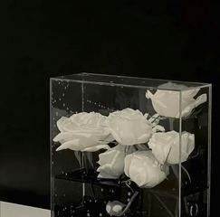 20731