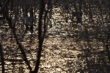 465F675F-0EAB-44A7-A9E0-DF056C3AC5B4/L0/001