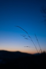 410