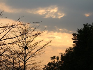 786F8E92-D217-410D-BD48-26C85020AB1F/L0/001