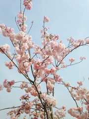 2386E432-98A8-4F3B-985E-3B7CA48A6AC0/L0/001