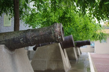IMGP5723.JPG