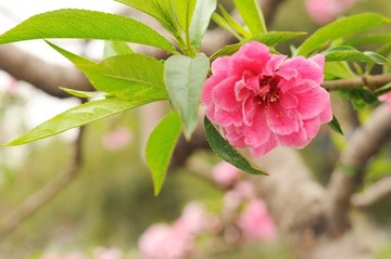 DSC_0422.jpg
