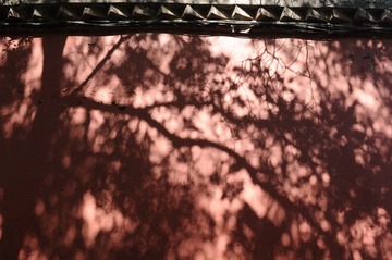 DSC_2038.JPG