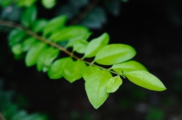 DSC_3697.jpg