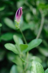 DSC_3701.jpg