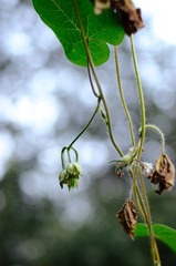 DSC_3705.jpg