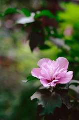 DSC_3711.jpg