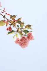 8D411107-D74D-4A80-B9BF-D353E2C60F9E/L0/001