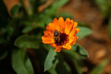 E97610D0-3EF2-4F80-B927-CCC8D37EAC46/L0/001