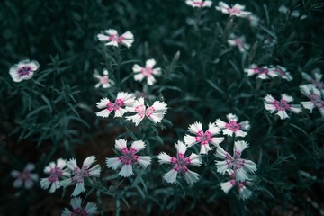 0813F7D3-11AE-4734-B4C0-BFACD1D00A0B/L0/001