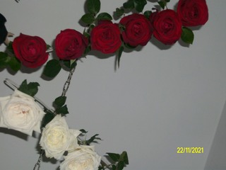F10B86D7-285D-42ED-8EFB-0C9A9C2E504B/L0/001