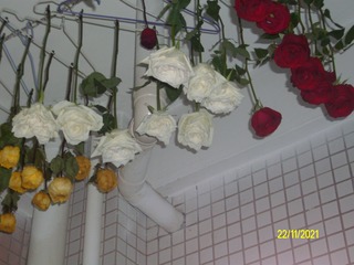 8873BEE0-0A29-4947-9648-6FE189F9BFC1/L0/001