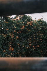 B517B3B8-4F25-4CEA-8B63-D036FECA9E3D/L0/001